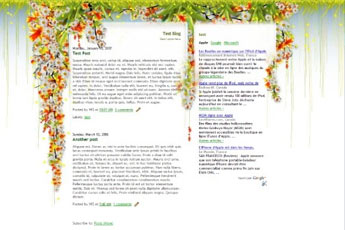 colibri-blogger.jpg