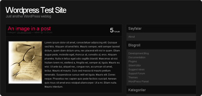skd-tema.png