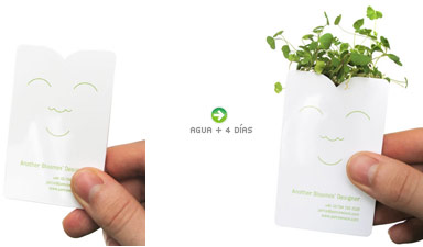 tarjetas-verdes.jpg