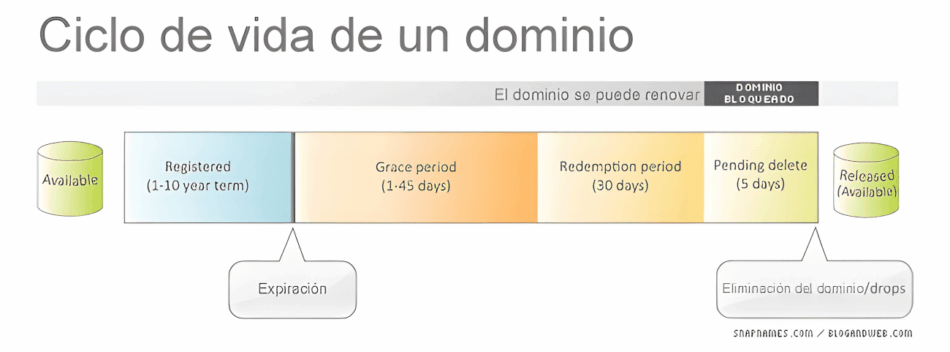 The life cycle of a domain name
